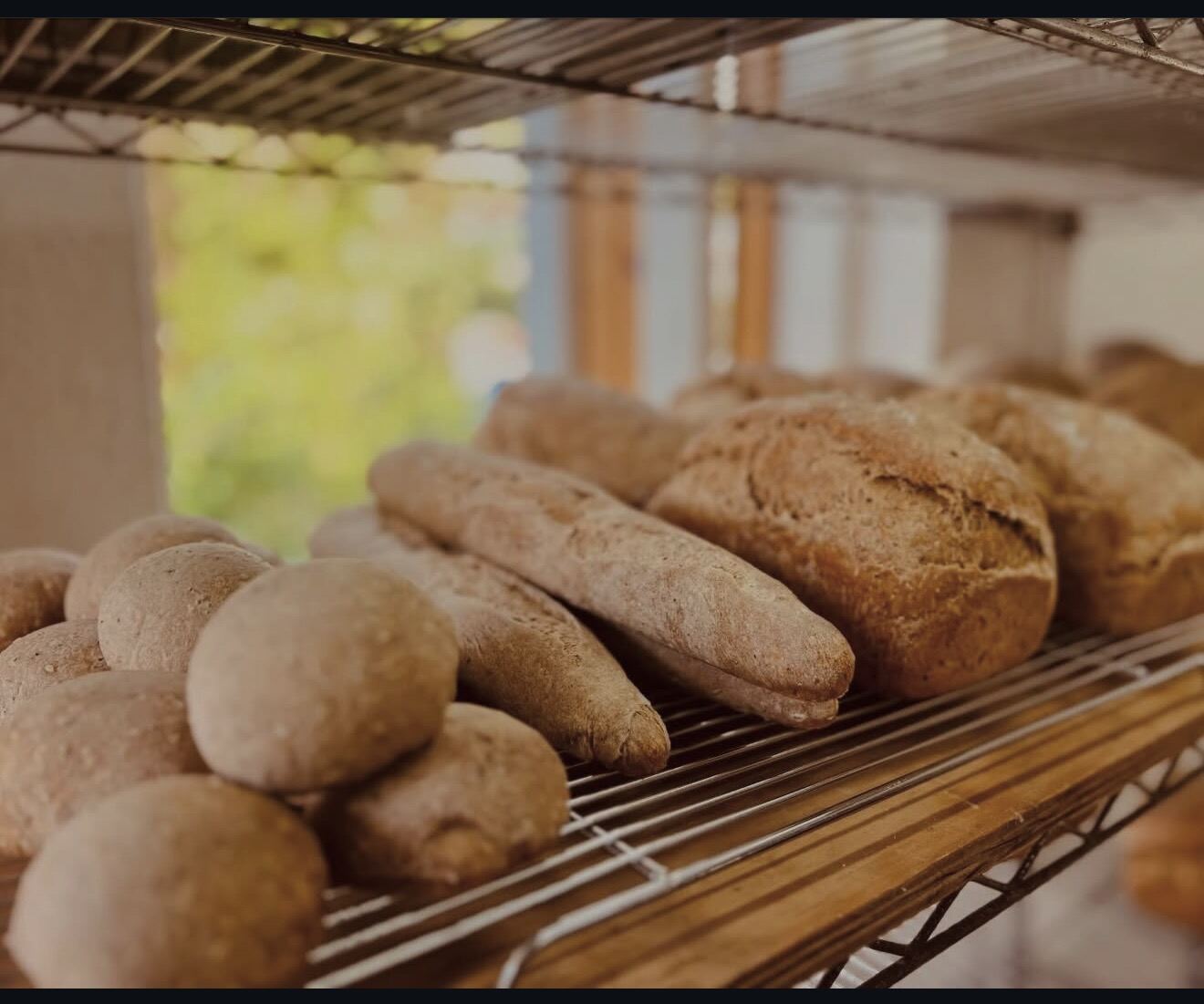 Fresh sourdough loaves